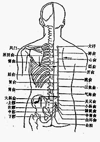 源穴|醫砭 » 經穴庫 » 關元